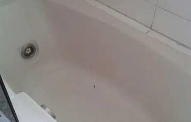 Imagem 12: APTO CENTRO. Piscina, Churrasqueira, Guarda roupae110m² de Área