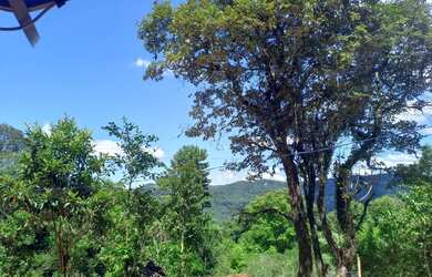 Imagem 10: Barbada vendo Chácara com venda por R$250.000