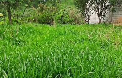 Imagem: O terreno possui 360.000m² de Área e está localizado em