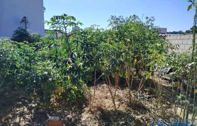 Imagem 2: TERRENO - RESIDENCIAL NOVA ERA - SP