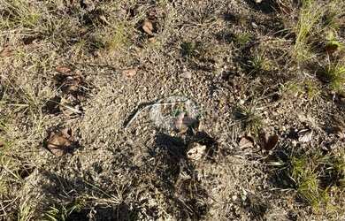 Imagem 4: Fazenda para pecuária ou agricultura na Região de Paraíso -TO