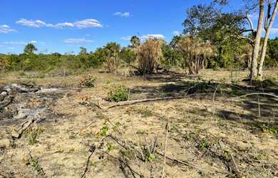 Imagem 8: Fazenda para pecuária ou agricultura na Região de Paraíso -TO