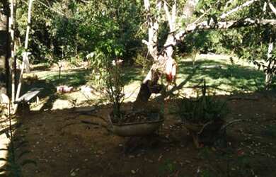 Imagem 4: Chácara 1865MT a venda na Zona Rural Bela Vista - GO