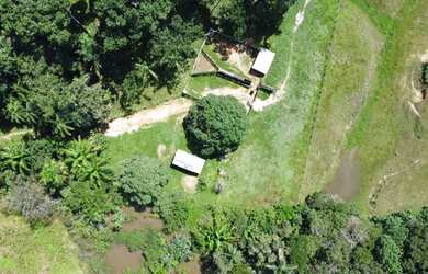 Imagem: Terra em Lábrea 220 hectares