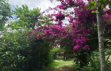 Imagem 10: Linda e aconchegante Pousada Encanto do Mar na praia do Rosa em Imbituba....