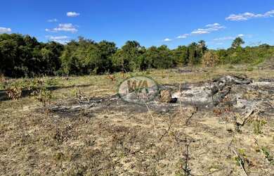 Imagem 10: Fazenda para pecuária ou agricultura na Região de Paraíso -TO