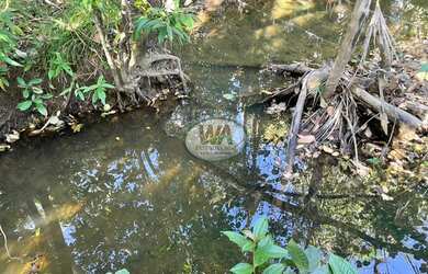 Imagem 12: Fazenda para pecuária ou agricultura na Região de Paraíso -TO