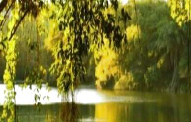 Imagem 5: Simões Filho - Terreno Padrão - Simões Filhos