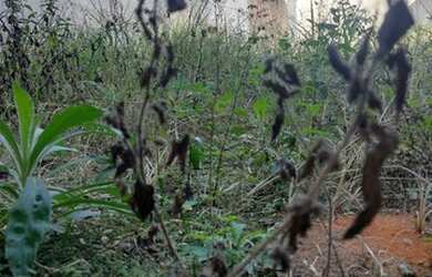 Imagem 4: Lote/Terreno para venda tem 125 metros quadrados em Residencial Jatobá...