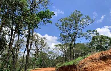 Imagem 4: VENDO TERRENO DE 600ME TROCO EM SEU CARRO OU MOTO