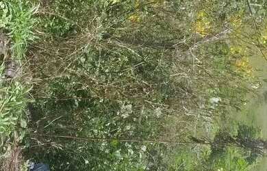 Imagem: O terreno possui 10000m² de Área e está localizado em Nossa