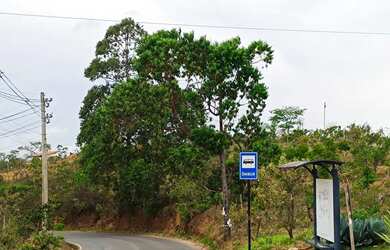 Imagem 11: Lotes Urbanos, Próximo ao Bonsucesso, Possuí Água , Luz, Parte Alta...