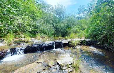 Imagem 2: Imóvel para venda possui 1010000 metros quadrados em Centro - Arinos...