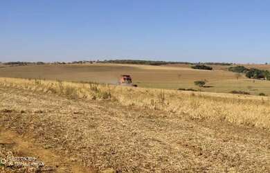 Imagem 8: R$150 Milhões Fazenda de 405 alqueires em Campo Alegre-GO