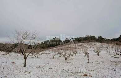 Imagem 16: TERRENO EM GRAMADO. 800m² de Área