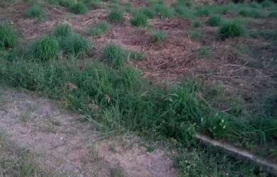 Imagem 3: Terreno. 500m² de Área