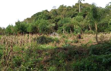 Imagem 4: Terreno em Nova Petrópolis na Serra Gaúcha