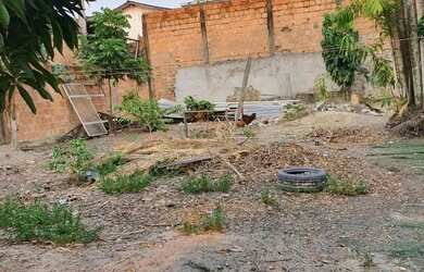 Imagem 5: Vendo Lote no Novo Aleixo