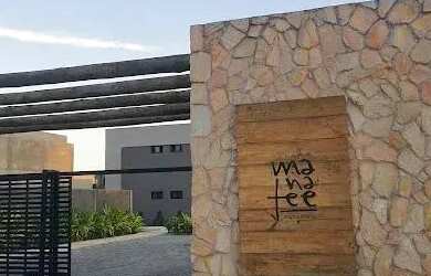 Imagem 15: Imóvel para venda tem 36 metros quadrados com 1 quarto em Tatuamunha...