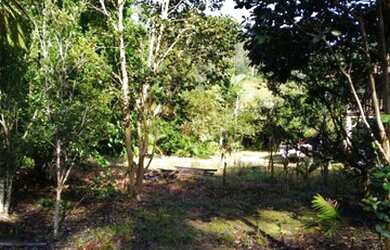 Imagem 12: Área Rural para Venda em Nova Trento / SC no bairro Serravel