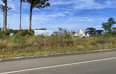 Imagem 1: CAXIAS DO SUL - Terreno Padrão - Jardim das Hortências