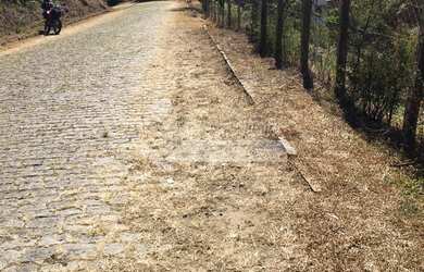 Imagem 9: Terreno no cascatinha. 