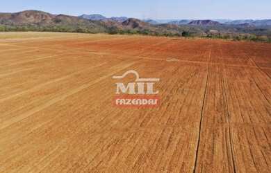 Imagem 11: Fazenda Produtiva Norte de Goiás. gt 390 Alq. 1.888 Há