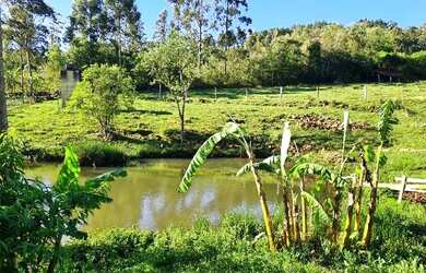Imagem 11: Lindo sitio 2.500.00m², todo cercado, com belo açude, frente no asfalto