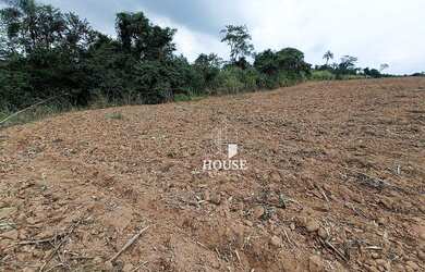 Imagem 2: Terreno à venda, 43000 m² por R$ 4.200.000,00 - Roseira - Mogi Guaçu/SP