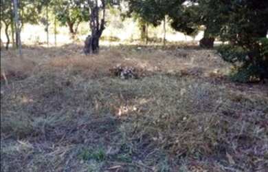 Imagem 1: Lote. 482m² de Área