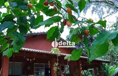 Imagem: A chácara possui 160m² de Área e está localizado em Morumbi