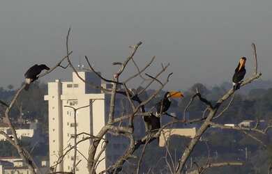Imagem 13: TERRENO EM CONDOMÍNIO FECHADO