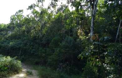 Imagem 16: Área Rural para Venda em Nova Trento / SC no bairro Serravel