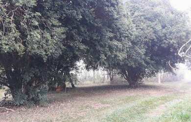 Imagem 16: Sítio à venda, 96359 m² por R$ 1.200.000,00 - Centro - Mombuca/SP