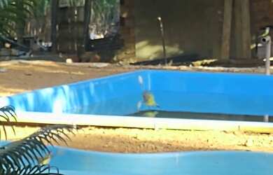 Imagem 4: Vendo / Troco. Piscinae13.000m² de Área