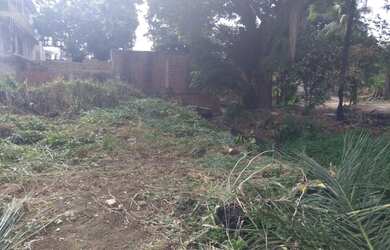 Imagem 14: Terreno para venda tem 450 metros quadrados em Fragoso - Paulista - PE