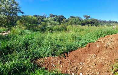 Imagem 3: Vendo lote. 1.000m² de Área