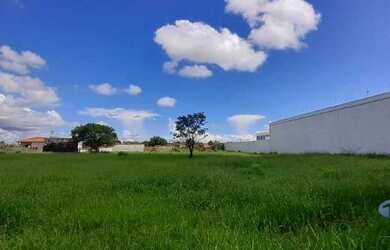 Imagem 8: Terreno, 1390 m² - venda por R$ 1.112.000,00 ou aluguel por R$ 2.500,00/mês...