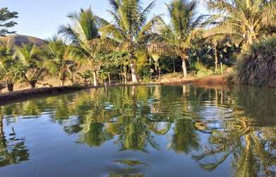 Imagem 1: Fazenda. 40.000m² de Área