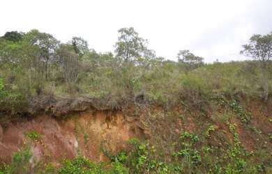 Imagem 5: Área para Venda em Campos do Jordão, Jardim Embaixador