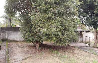 Imagem 5: Sítio à Venda no bairro Vista Alegre - São Gonçalo/RJ