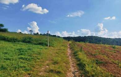 Imagem 13: Lote/Terreno para venda possui 1000 metros quadrados em Veloso - Osasco...