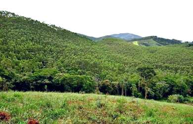 Imagem 2: VENDO TERRENO 1000M² NA BEIRA DO ASFALTO! BAIRRO ATIBAINHA( PIRACAIA