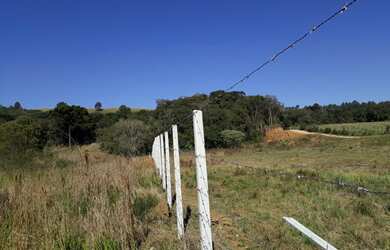 Imagem 4: Chácara Almirante Tamandaré Juruqui 5,5Km Santa Felicidade 23.000m²...