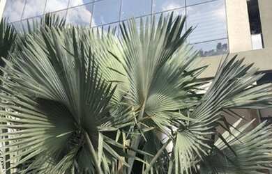 Imagem: O depósito possui 4 Vagas na garagem, 289m² de Área, Imóvel