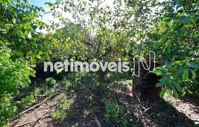 Imagem 9: Venda ou locação Casa Nossa Senhora Da Penha Álvares Machado