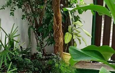 Imagem: A kitnet possui 1 Dormitório, 1 Banheiro, 1 Vaga na garagem