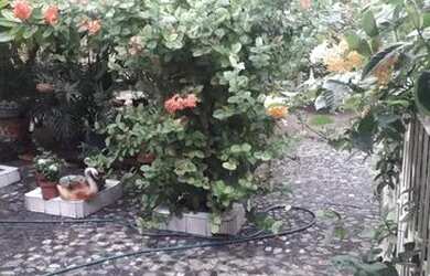 Imagem 11: Casa em Bragança no Pará com 400m²