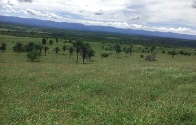 Imagem 8: FAZENDA EM NOVA REDENÇÃO - 1400 TAREFAS