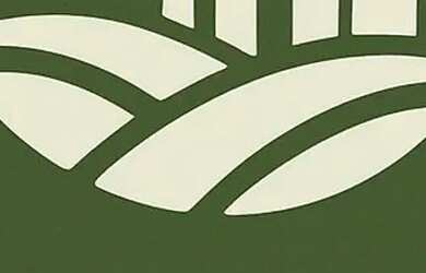 Imagem 12: 2 terrenos um ao lado do outro - 1600 metros quadrados em Lageadinho - Ibiúna - SP